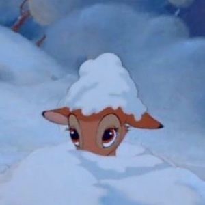 Meet your Posher, Selene